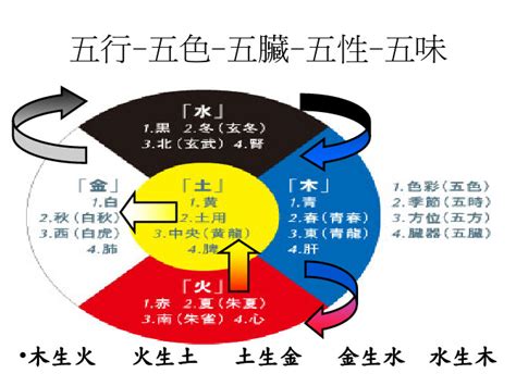 五行 水生木|水生木